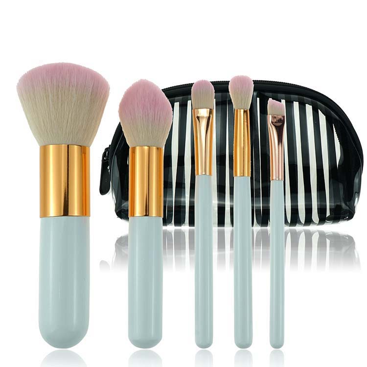 5 Pcs Custom Logo Cute Mini Kabuki Brush Set For Makeup With Bag