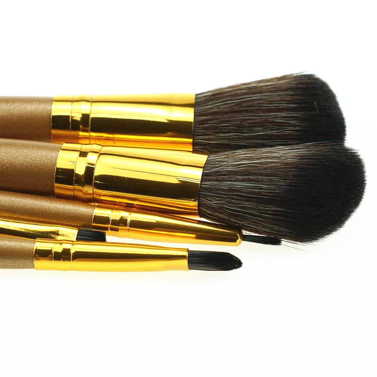 5PCS Mini Portable Makeup Brush set with Cute case Synthetic hair brushes makeup