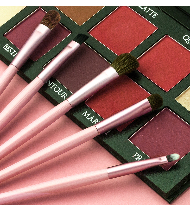 Private label 5pcs portable eyeshadow brush set travel eye makeup brush set For Makeup Tool Kit