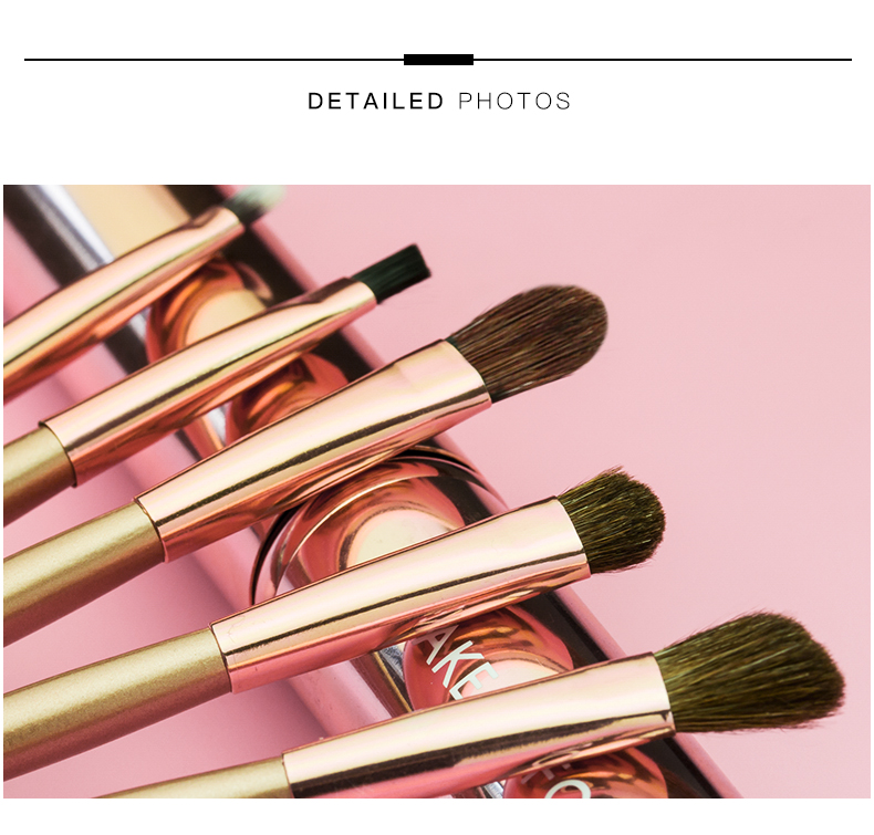 Private label 5pcs portable eyeshadow brush set travel eye makeup brush set For Makeup Tool Kit