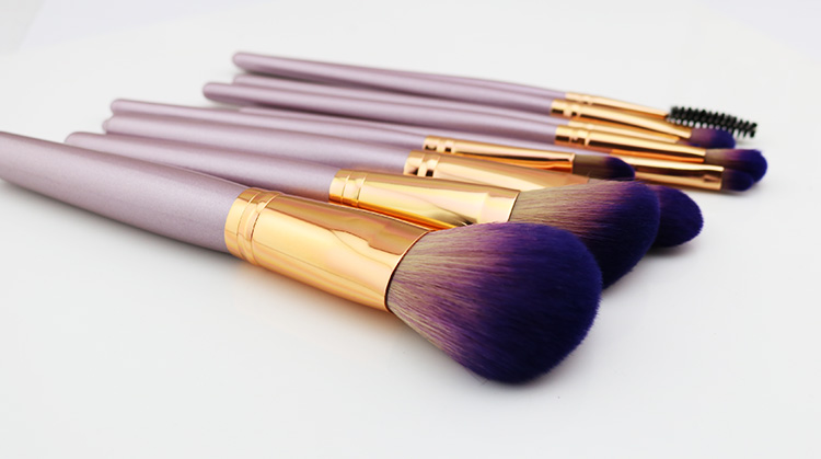Professional Luxury Quality Make Up Brush Set 10PCS Makeup Brushes