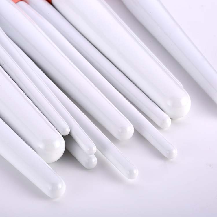 Beauty Girl Necessity Factory Direct Offer 12PCS Brush Set for Maquillaje