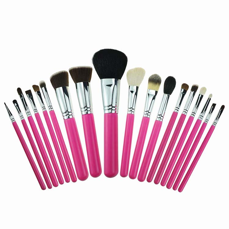 18 Piece Pink Diy Quality Makeup Brushes Portable Makeup Brushes