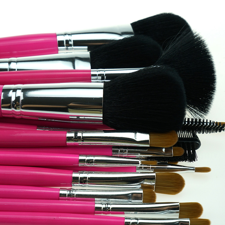 Makeup Must Haves Unique Makeup Brush Kit With Case Fresh Pink Brush Sst for Powder Foundation Cream Eyeshadow