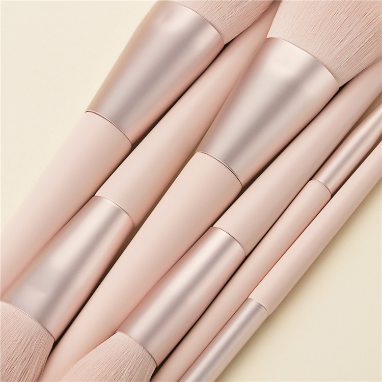 Hot Sale Makeup Brushes Normal Size 11 Piece Blush Powder Foundation Makeup Brush Set